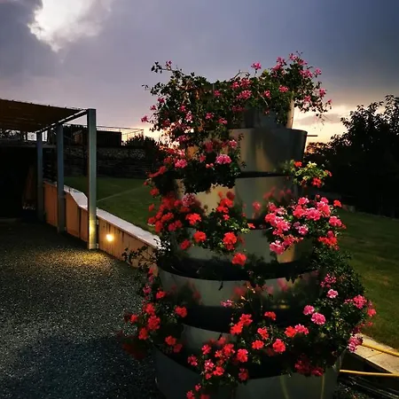 Lodge Borsacchio *