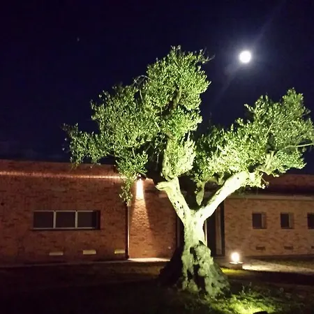 Borsacchio Lodge