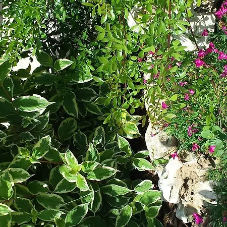 Borsacchio * Roseto Degli Abruzzi