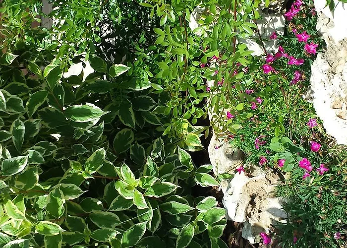 Borsacchio * Roseto Degli Abruzzi