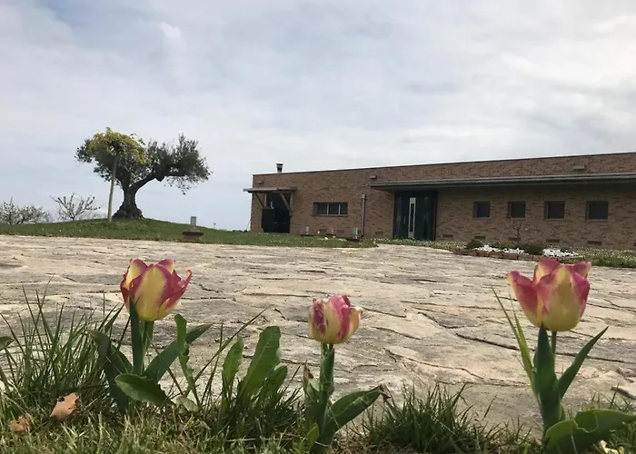 Borsacchio Alojamento de Turismo Selvagem *