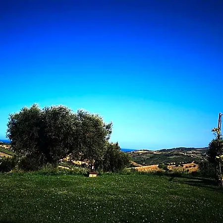 Borsacchio *