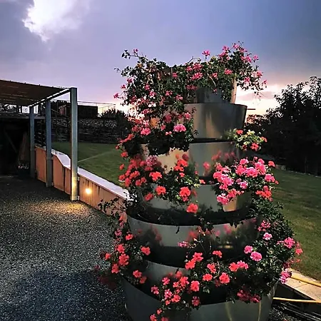 Borsacchio Roseto Degli Abruzzi