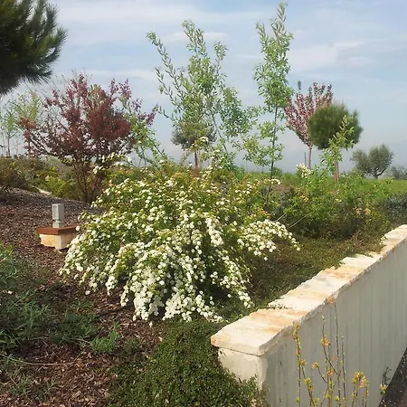 Domek letniskowy Borsacchio *