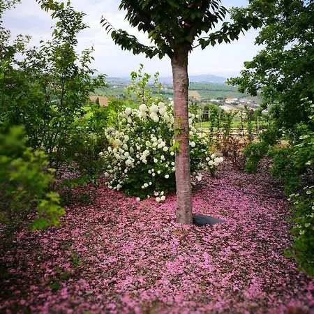 Borsacchio Jaktstuga *