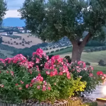 Lodge Borsacchio Roseto Degli Abruzzi