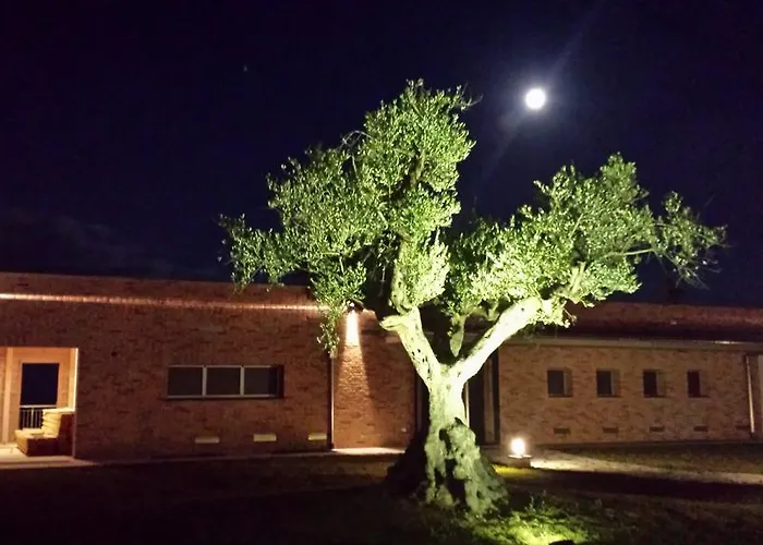 Borsacchio Деревянный коттедж