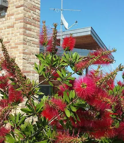 Borsacchio Розето-дельи-Абруцци