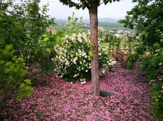 Borsacchio Деревянный коттедж *