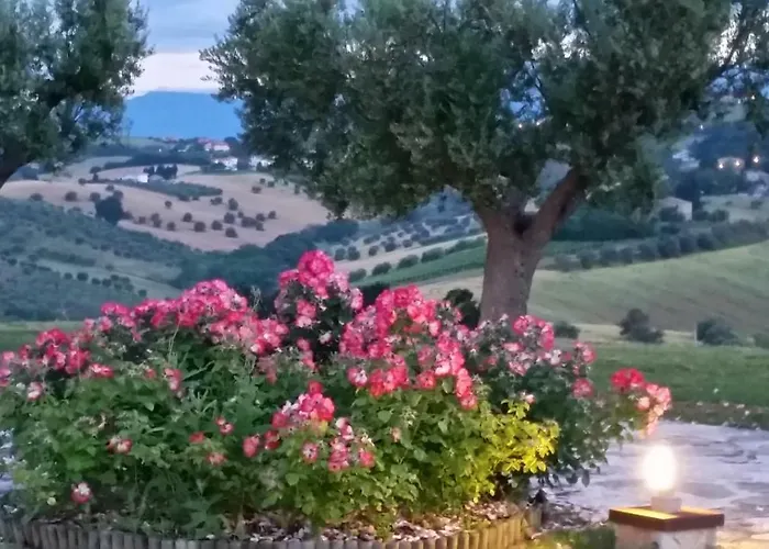 Деревянный коттедж Borsacchio Розето-дельи-Абруцци